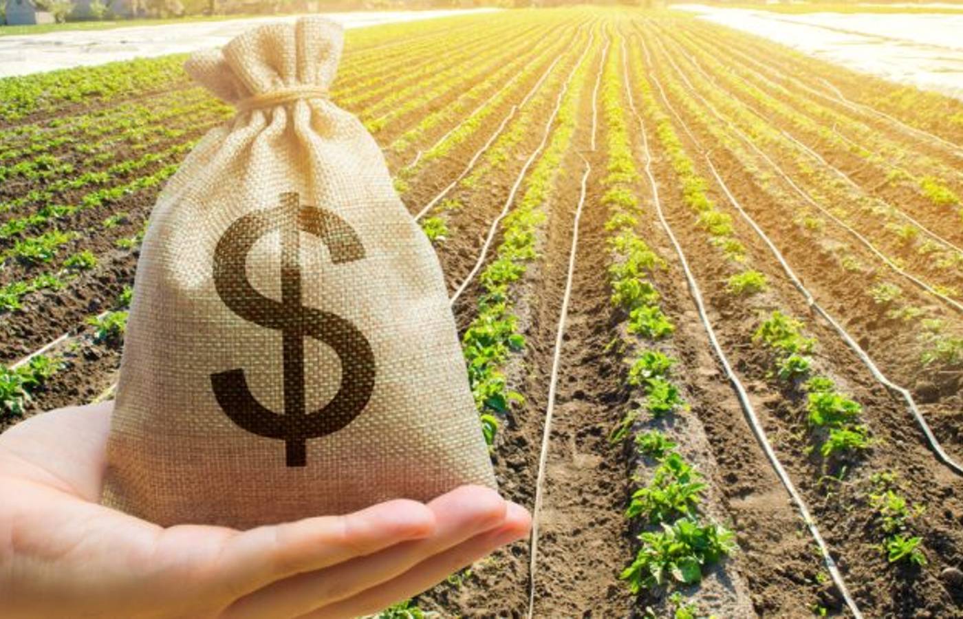 Agro inicia safra 2026/27 com R$ 580,78 bilhões em CPRs